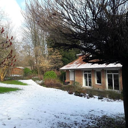 Un Grand Jardin En Ville. Chez Guy Uccle Eksteriør bilde