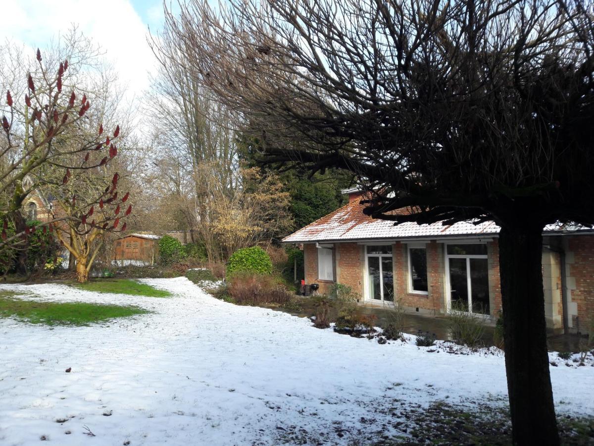 Un Grand Jardin En Ville. Chez Guy Uccle Eksteriør bilde